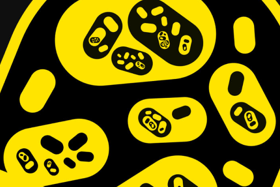 PseudoScience Label Night